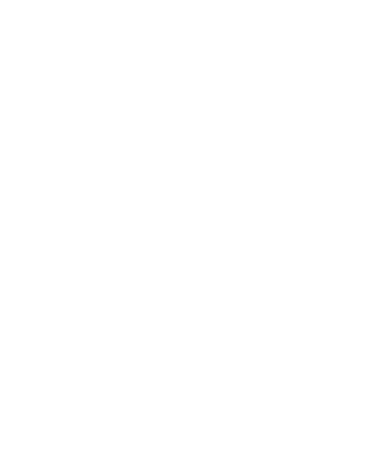 Best of the Bay 2017 winner